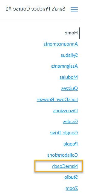 帆布课程导航菜单中的NameCoach选项卡.